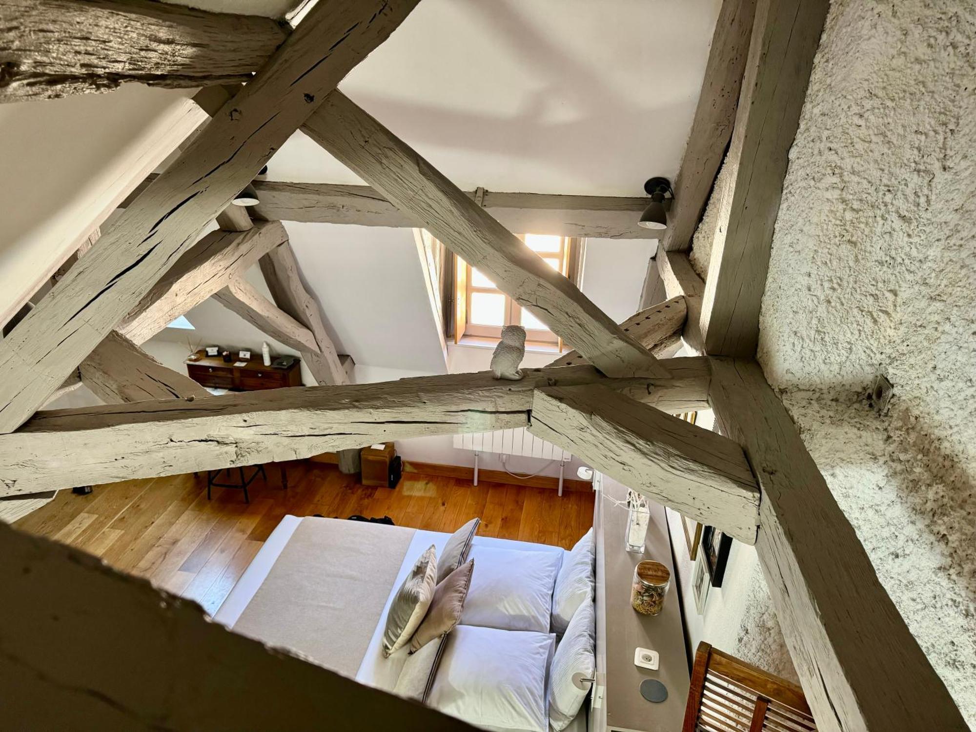 Apartament Le Relais Des Ducs : Centre Historique Dijon Zewnętrze zdjęcie